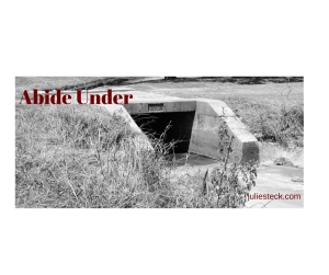 Abide Under