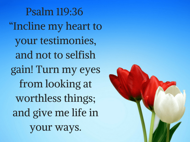 Psalm 119-36 “Incline my heart to your testimonies, and not to selfish gain! Turn my eyes from looking at worthless things; and give me life in your ways.